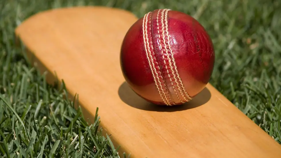 Cricket